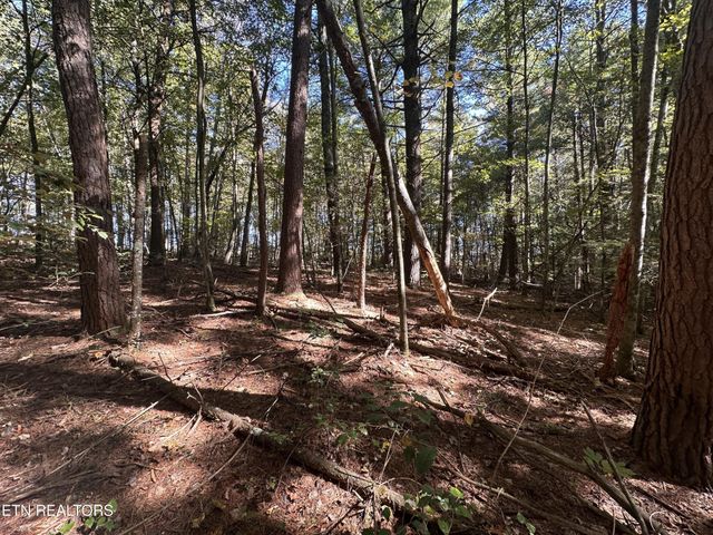 186 Cave Branch Rd, Allardt, TN 38504