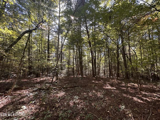 186 Cave Branch Rd, Allardt, TN 38504