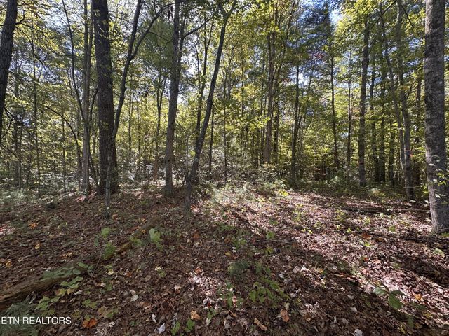 186 Cave Branch Rd, Allardt, TN 38504