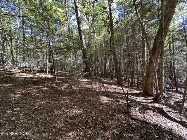 186 Cave Branch Rd, Allardt, TN 38504