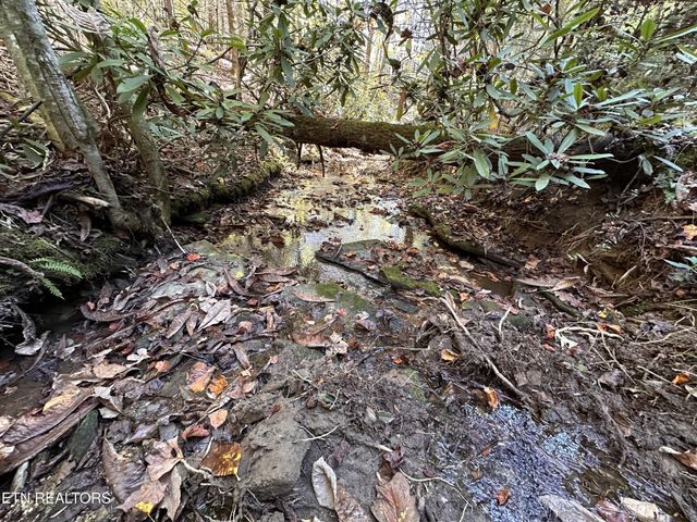 186 Cave Branch Rd, Allardt, TN 38504