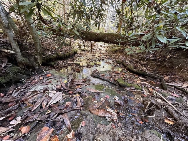 186 Cave Branch Rd, Allardt, TN 38504