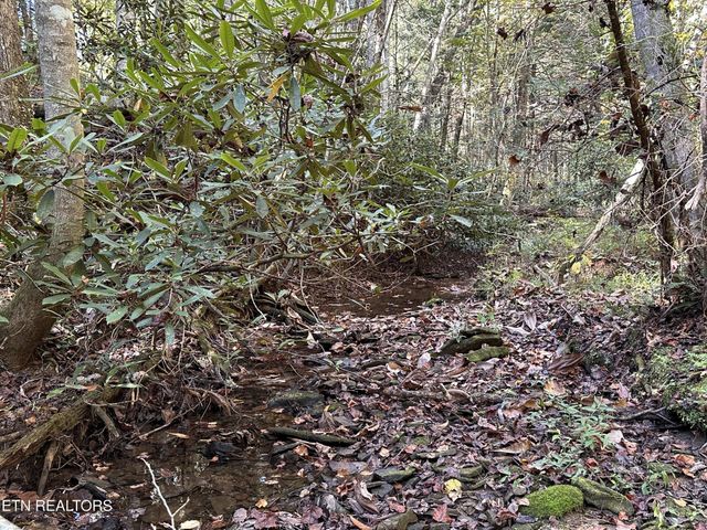 186 Cave Branch Rd, Allardt, TN 38504