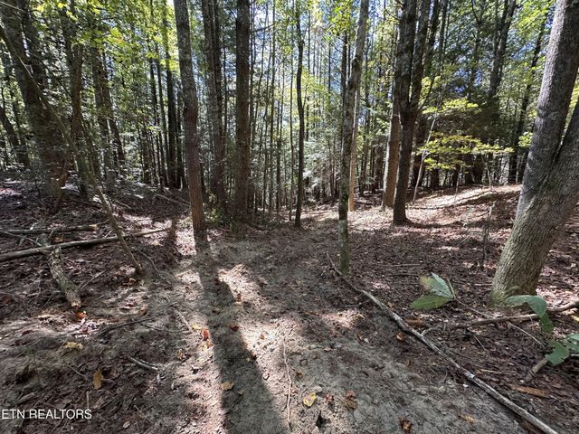 186 Cave Branch Rd, Allardt, TN 38504