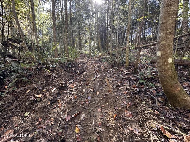 186 Cave Branch Rd, Allardt, TN 38504