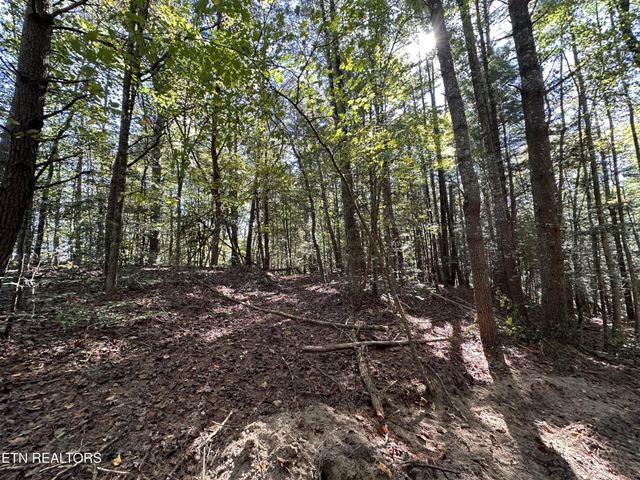 186 Cave Branch Rd, Allardt, TN 38504