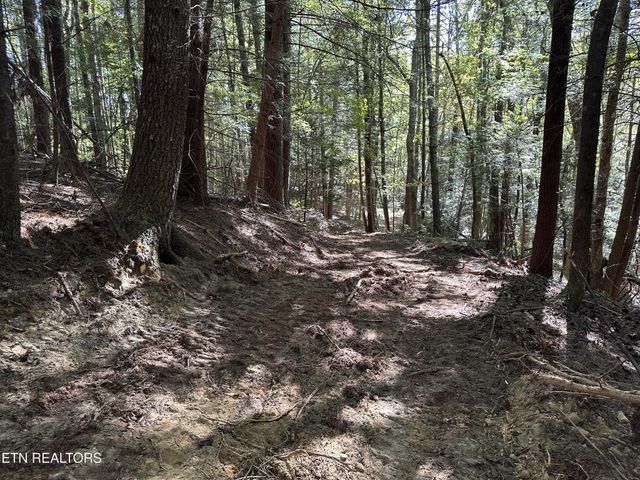 186 Cave Branch Rd, Allardt, TN 38504