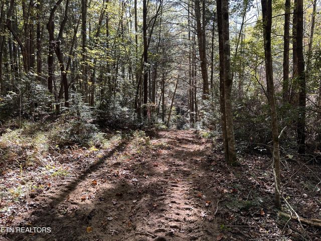 186 Cave Branch Rd, Allardt, TN 38504