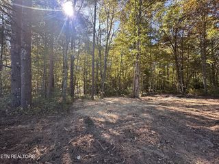 186 Cave Branch Rd, Allardt, TN 38504