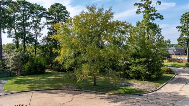 15 Stanford Court, Montgomery, TX 77356