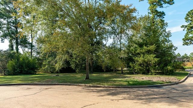 15 Stanford Court, Montgomery, TX 77356