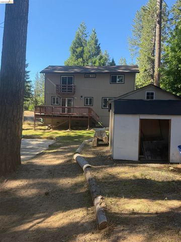 18931 Middle Camp Sugar Pine Rd, Twain Harte, CA 95383