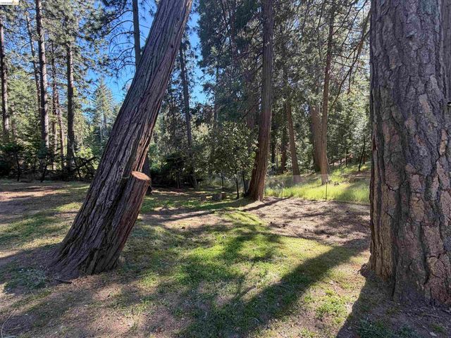 18931 Middle Camp Sugar Pine Rd, Twain Harte, CA 95383