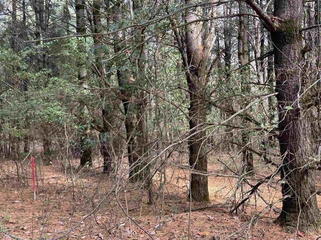 Lot 26 N Sunset Drive, Wisconsin Dells, WI 53965