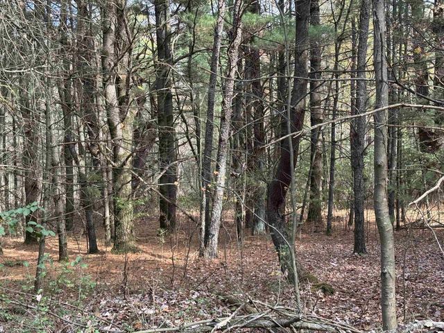 Lot 26 N Sunset Drive, Wisconsin Dells, WI 53965