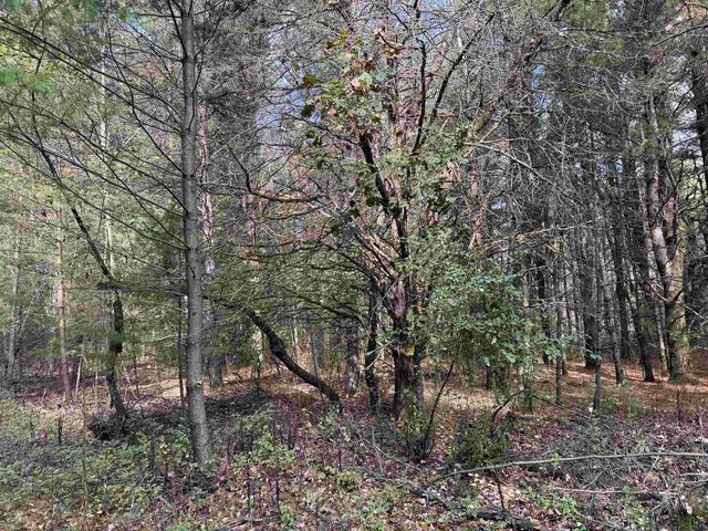 Lot 26 N Sunset Drive, Wisconsin Dells, WI 53965