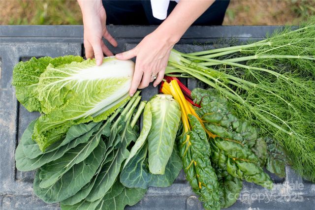 202 Westridge Farm Road 4, Asheville, NC 28804