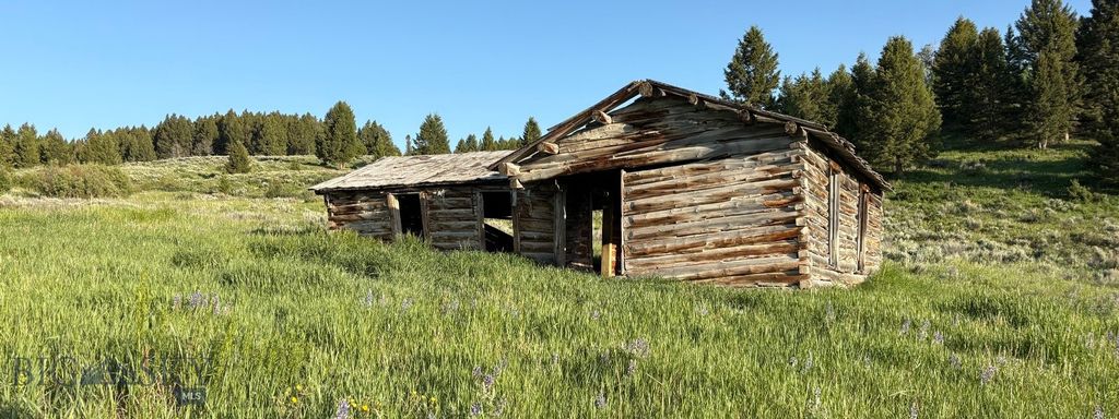 TBD South Valley Road, Dell, MT 59724 photo 10