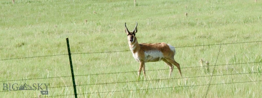 TBD South Valley Road, Dell, MT 59724 photo 25