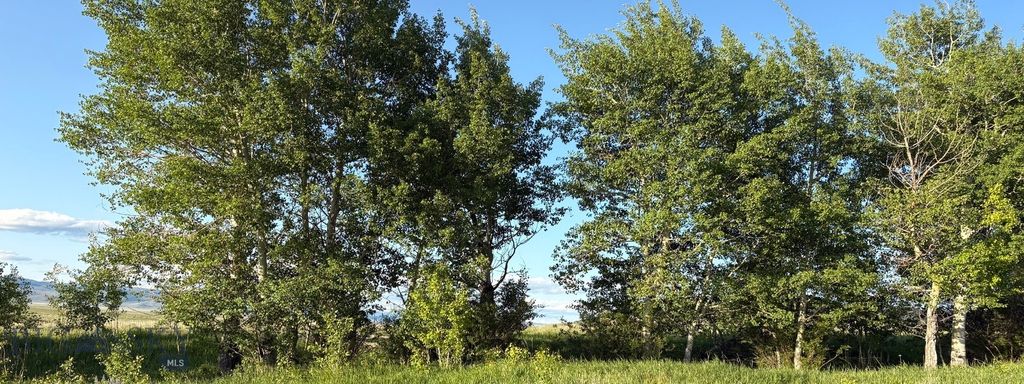 TBD South Valley Road, Dell, MT 59724 photo 4