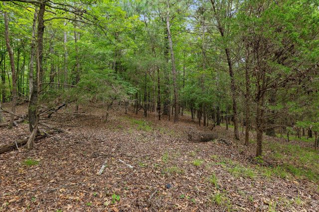 7519 Walnut Hills Drive, Harrison, TN 37341