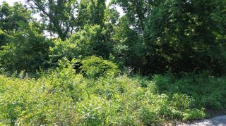 Lot 2 N Willow Rd, Joplin, MO 64801