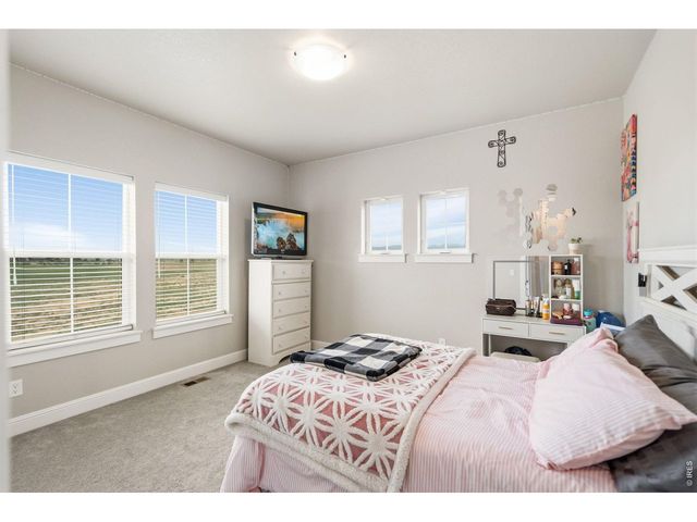 1543 Stoneseed St, Berthoud, CO 80513