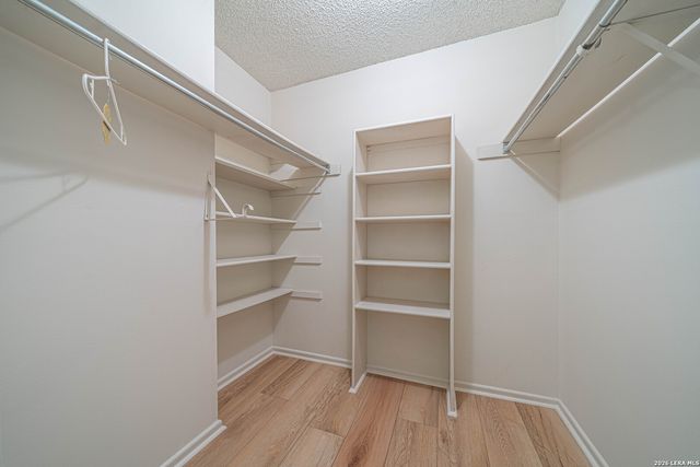 7230 Trace Buckle, San Antonio, TX 78240