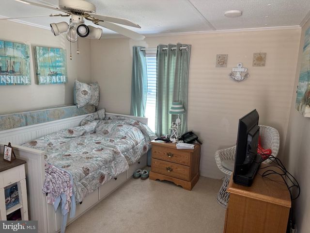 36966 LAWS POINT RD, Selbyville, DE 19975