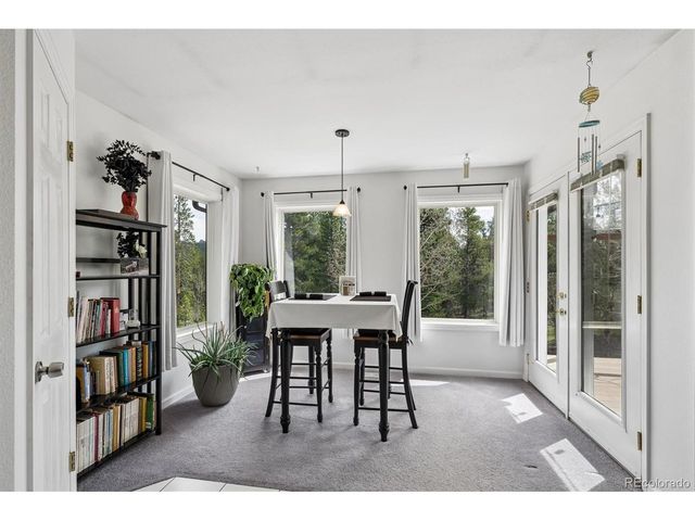 1387 Lodge Pole Dr, Black Hawk, CO 80422