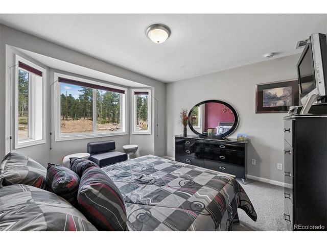 1387 Lodge Pole Dr, Black Hawk, CO 80422
