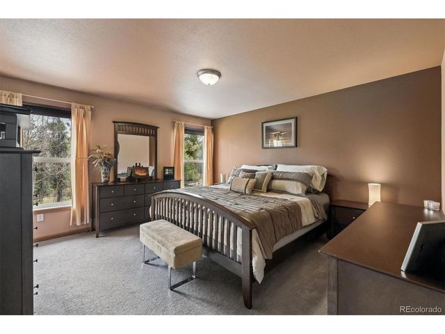 1387 Lodge Pole Dr, Black Hawk, CO 80422