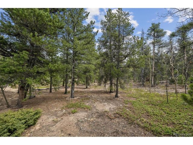 1387 Lodge Pole Dr, Black Hawk, CO 80422