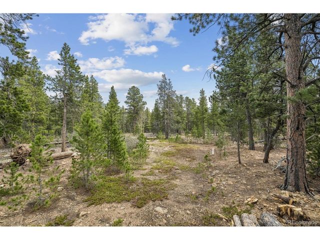 1387 Lodge Pole Dr, Black Hawk, CO 80422