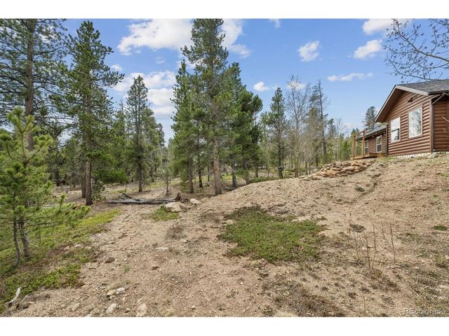 1387 Lodge Pole Dr, Black Hawk, CO 80422