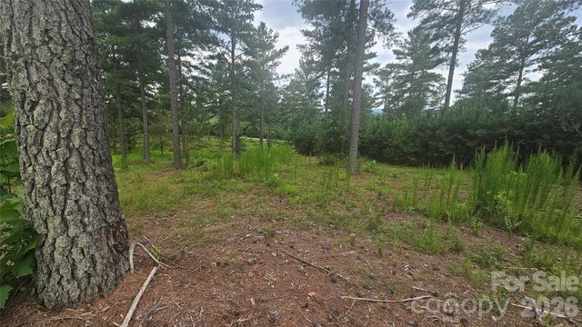 1884 Coveside Drive, Granite Falls, NC 28630