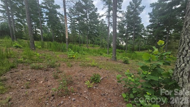 1884 Coveside Drive, Granite Falls, NC 28630