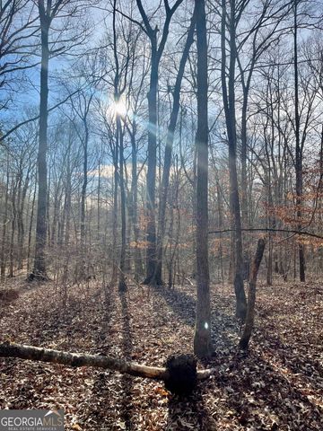 0 Padgett Road LOT 13, Senoia, GA 30276