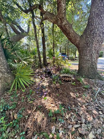 9589 Perdido Vista Drive, Perdido Beach, AL 36530