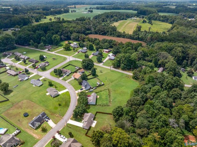 326 Earnhardt Drive, New Market, AL 35761