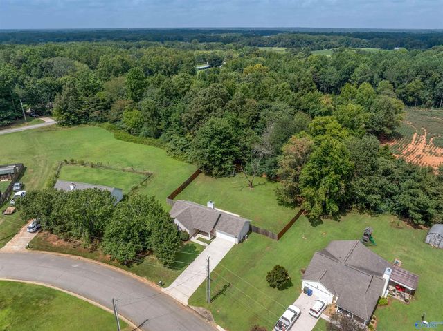 326 Earnhardt Drive, New Market, AL 35761