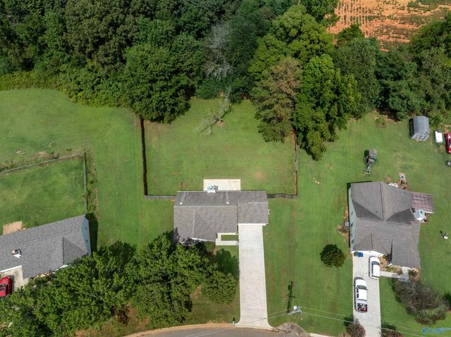 326 Earnhardt Drive, New Market, AL 35761