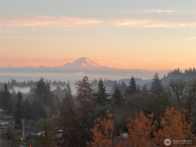 4233 S 252nd Place, Kent, WA 98032