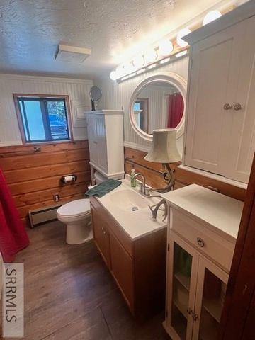 3889 F Street, Island Park, ID 83429