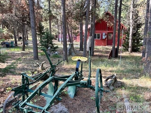 3889 F Street, Island Park, ID 83429