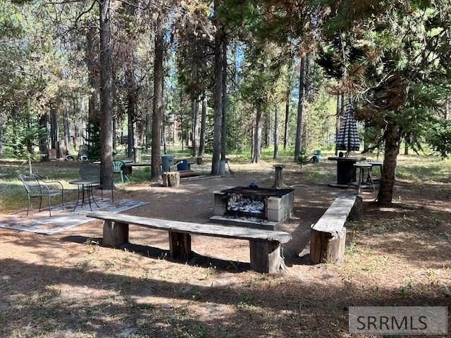 3889 F Street, Island Park, ID 83429