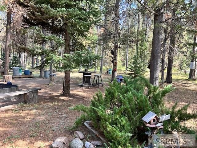 3889 F Street, Island Park, ID 83429