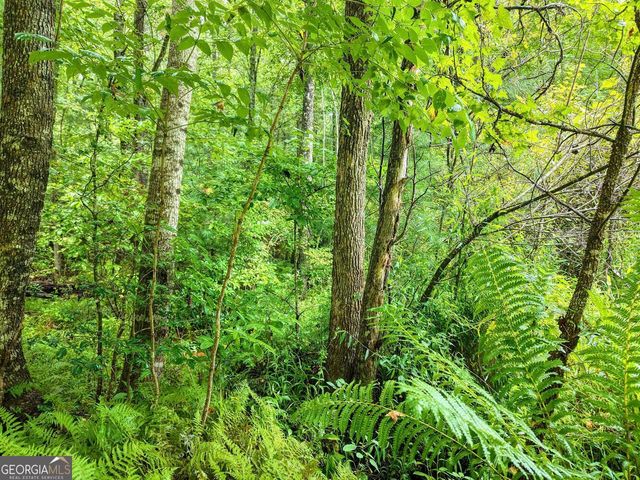 580 Emmaus Road, Epworth, GA 30541