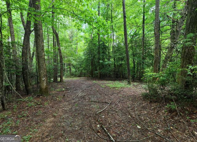 580 Emmaus Road, Epworth, GA 30541