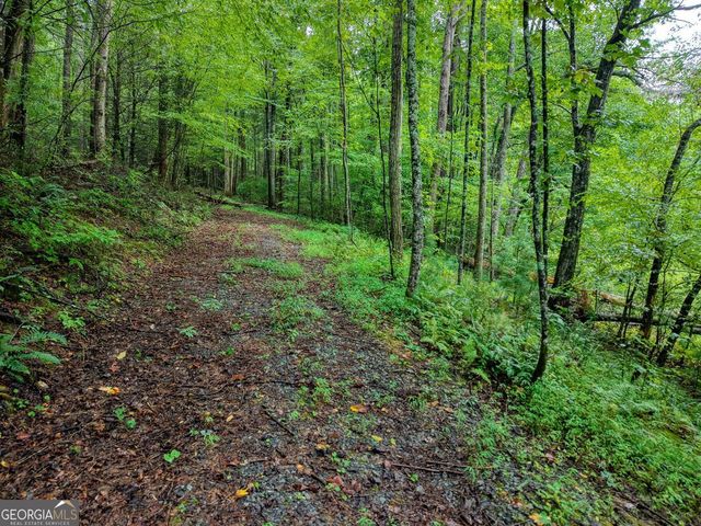 580 Emmaus Road, Epworth, GA 30541